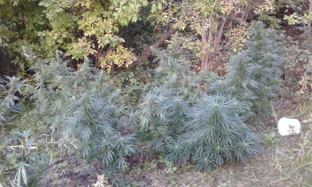 20170917_182212.jpg