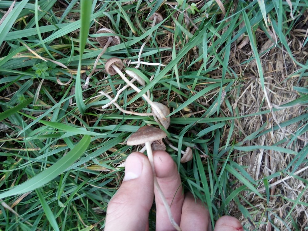 20170919_164244.jpg