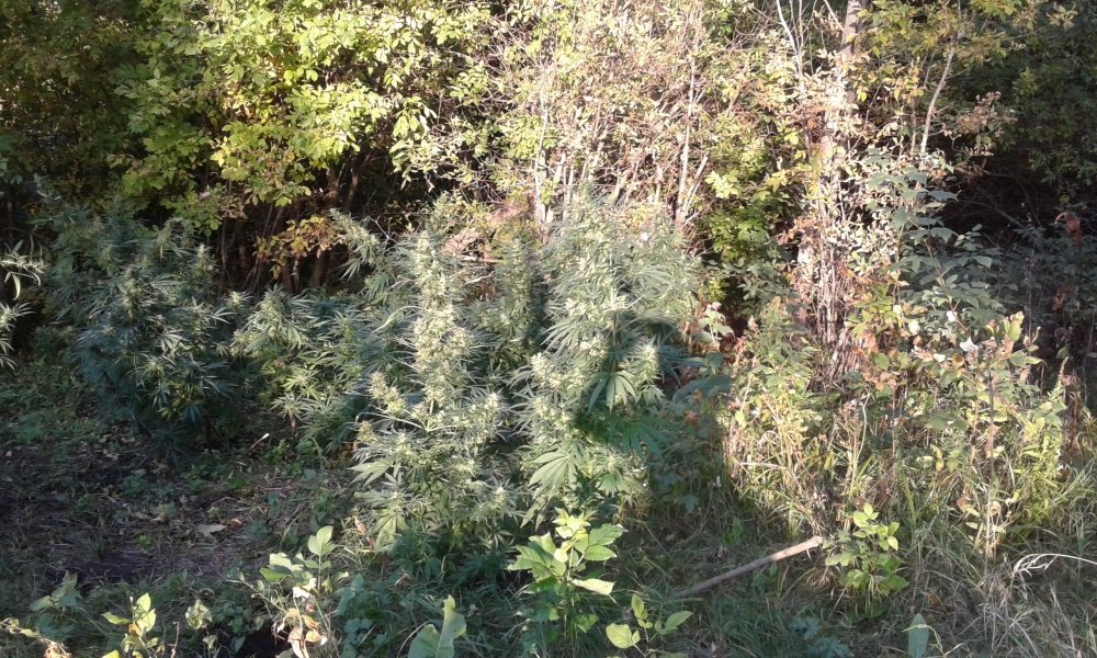 20170921_171340.jpg