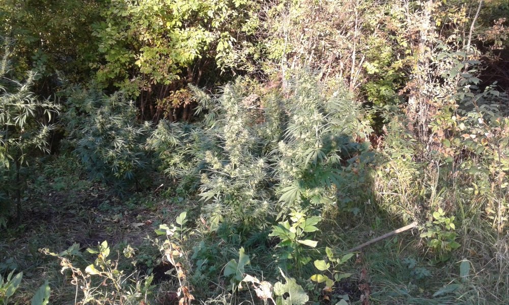 20170921_171345.jpg