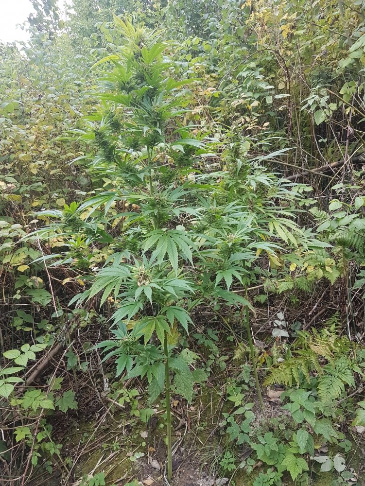 20170926_144635.jpg