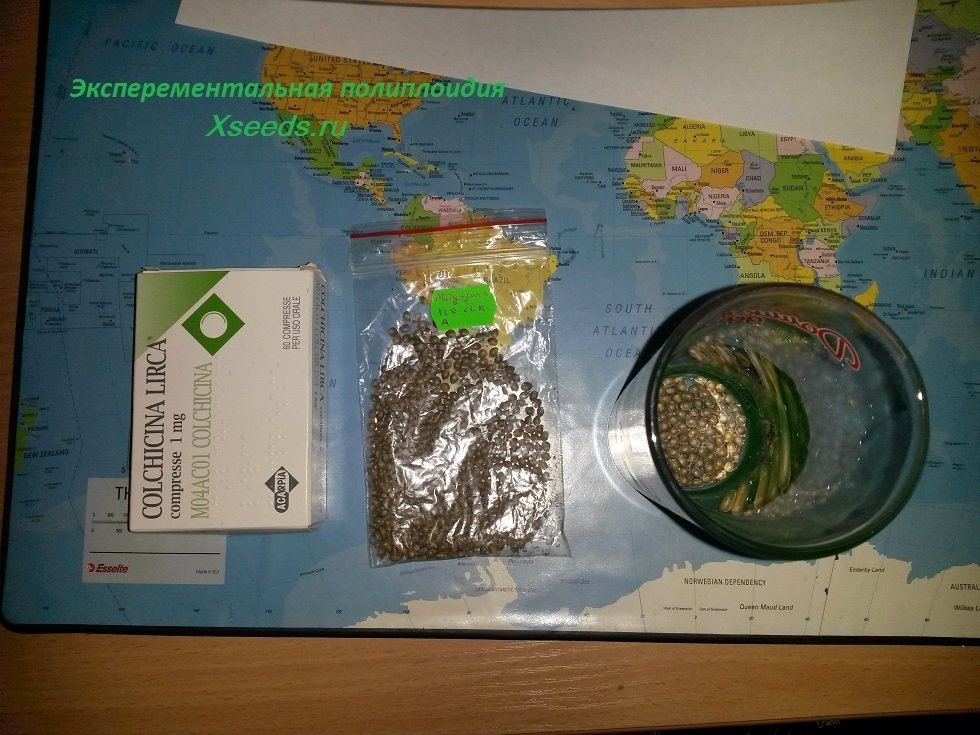 59b7a80c9b798_5(1).thumb.jpg.fe0c92aad53840874a96b6c3a7d045c8.jpg