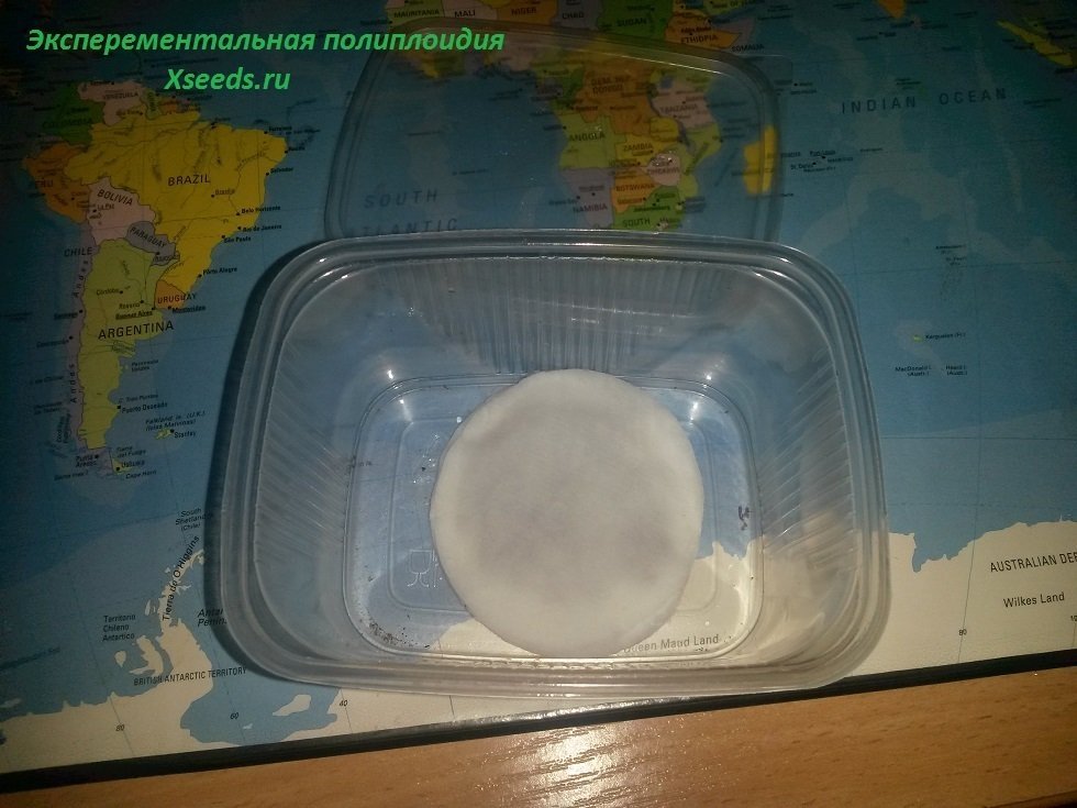 59b7a840e7f31_7(1).thumb.jpg.7265cd41da9ad6e322b1c4055030109d.jpg