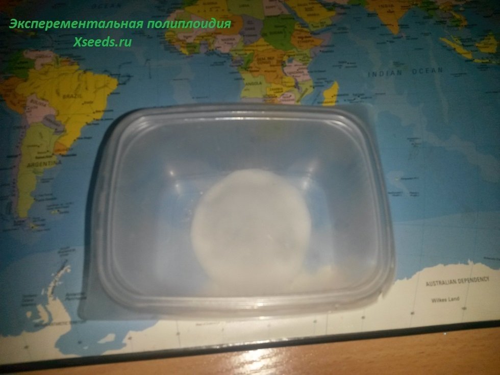 59b7a8447775d_8(1).thumb.jpg.66b1e0c6b0afb2ac2dc960fcbbc5f50a.jpg
