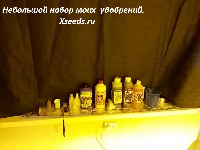 59bfa52acd19c_b(4).thumb.jpg.243aeb218a71e9e42f634f9ee9f40161.jpg