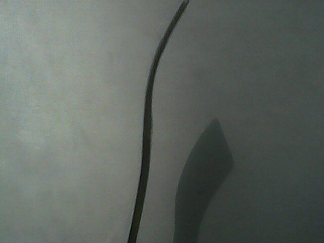 IMG0198A.jpg