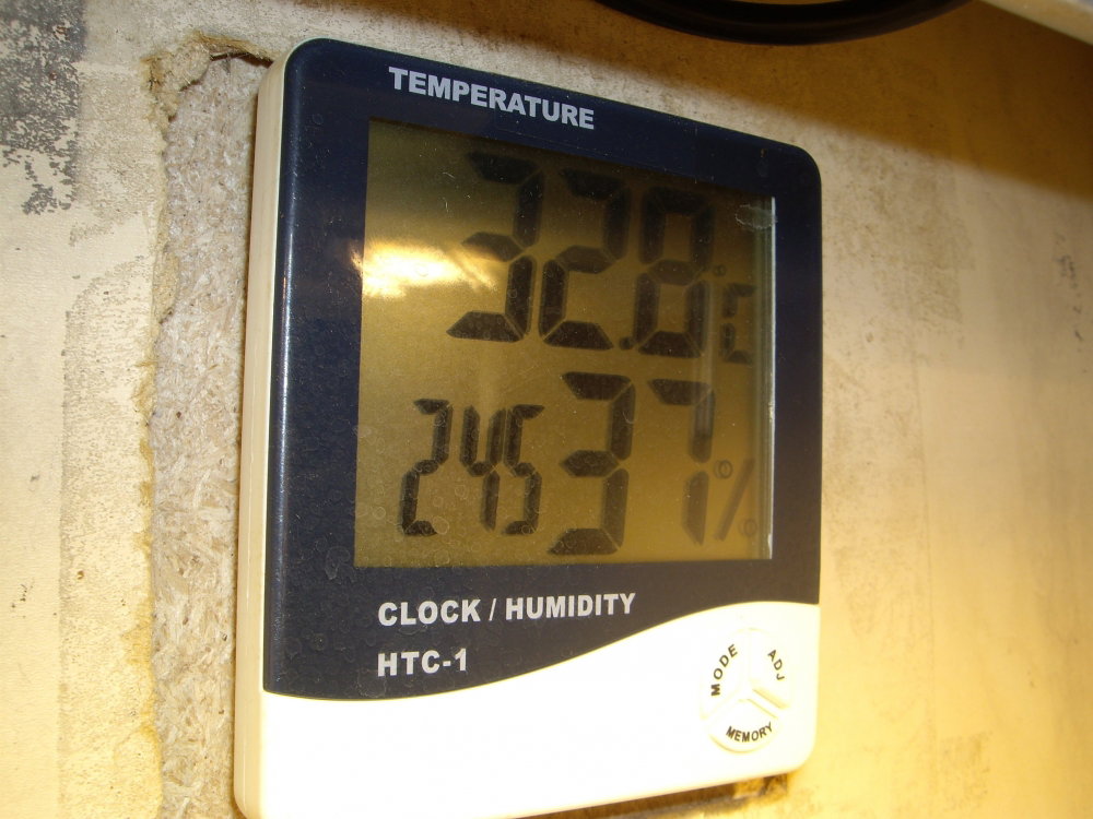 IMGP0725.thumb.JPG.f2fa69e363639e51f8947820e4ff5b83.JPG