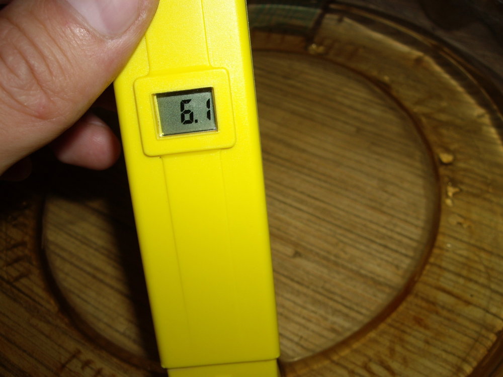 IMGP0751.thumb.JPG.118f97f6dbdfd522f0e8926b409d7b0b.JPG