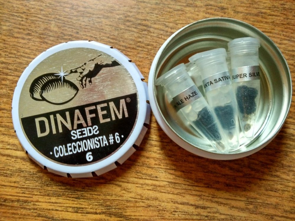 IMG_20170906_110737_HDR.thumb.jpg.35cc58e1f368da425b0cc3c029ec536f.jpg