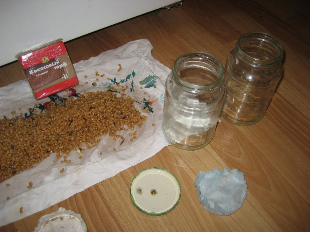 IMG_2509.thumb.JPG.ad5a72dd98a824cb430253815feeea3d.JPG
