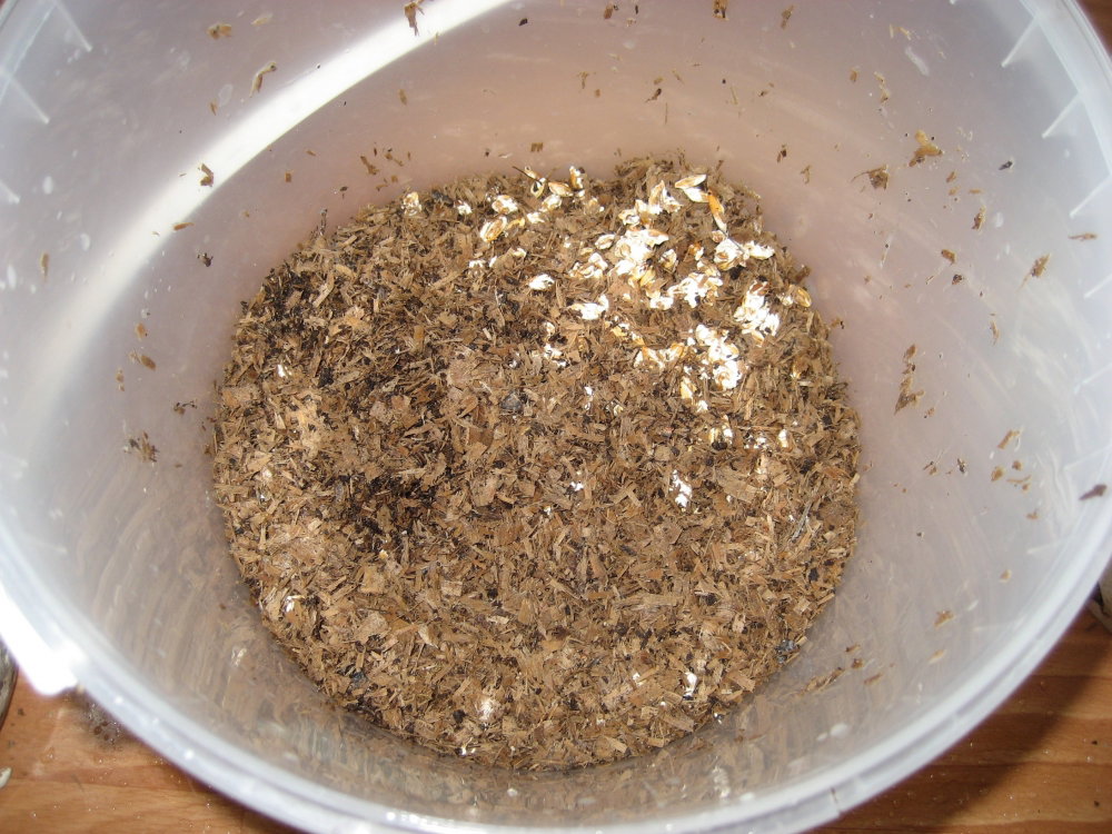 IMG_2519.thumb.JPG.0297114d2a0f68e6a90bcc1de5de24b9.JPG
