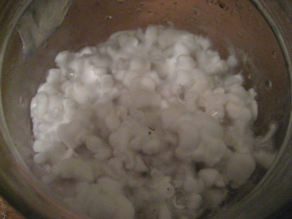 IMG_2522.thumb.JPG.ccdbeb37868d82bb69e8b2b4c366f2ee.JPG
