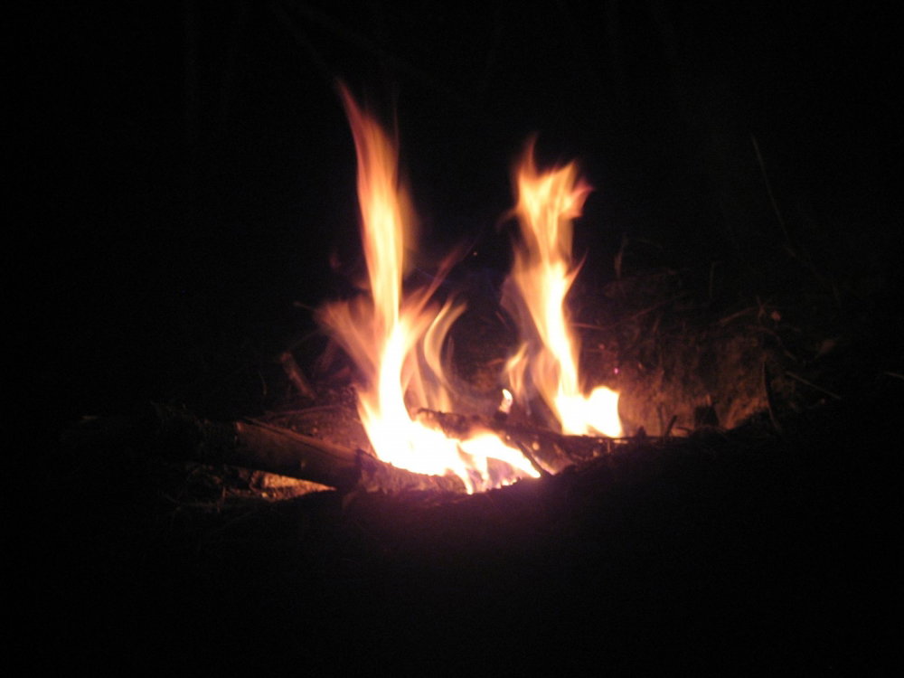 IMG_2580.thumb.JPG.84b454fe4bae2f582c54ebcdf1cc90bd.JPG