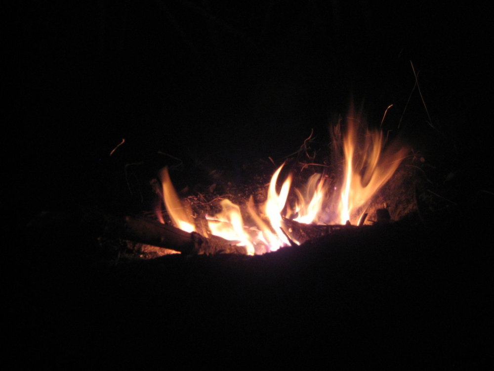 IMG_2581.thumb.JPG.1d1c2c677be5fcd4dfd2ac07e7c3c792.JPG