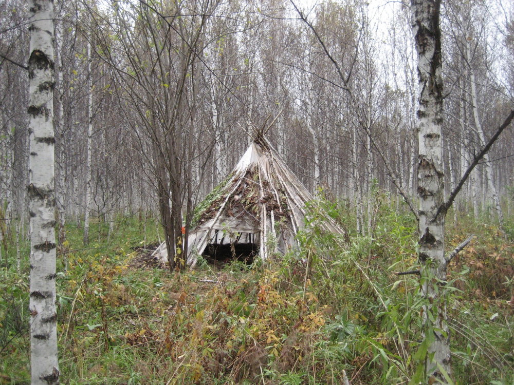 IMG_2660.thumb.JPG.f883b9a2879ec77df12ce84cf3e5bf0b.JPG