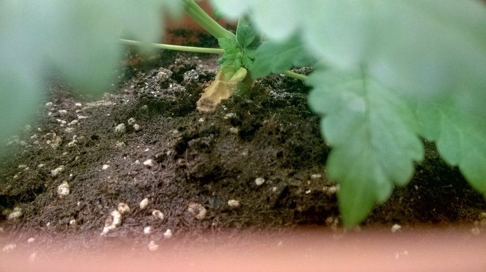 WP_20170914_20_41_14_Pro.jpg