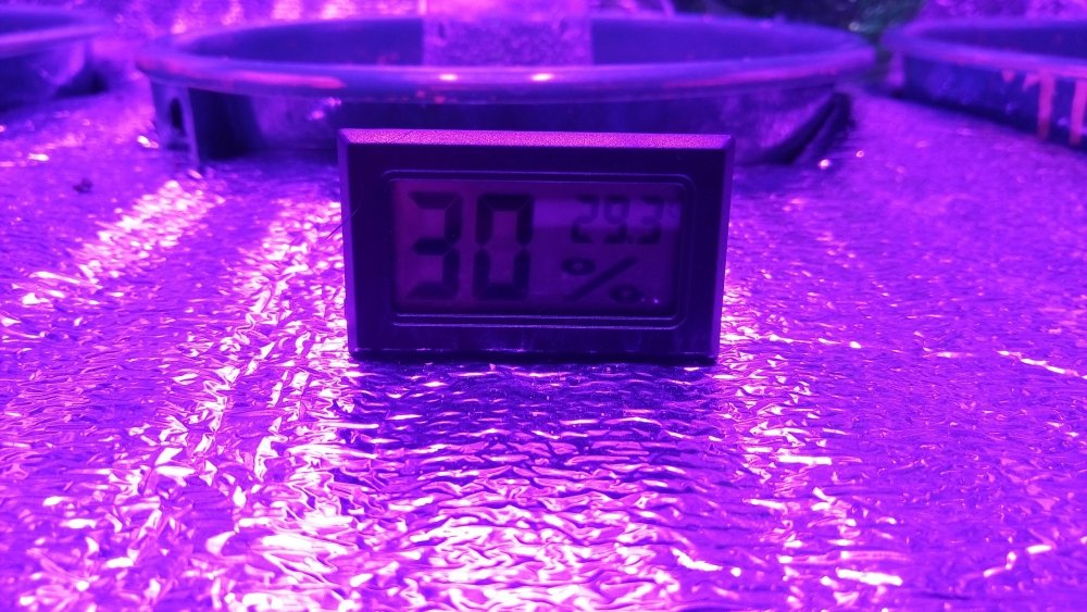 1508763716462814932211.jpg