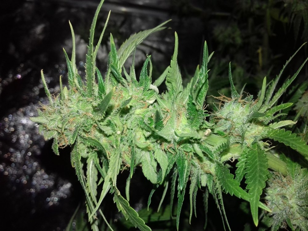 20171002_095546.jpg