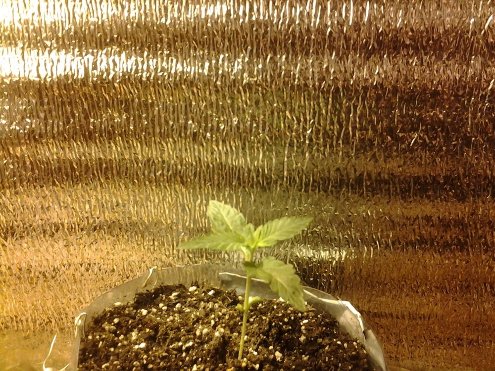 20171009_235925.jpg