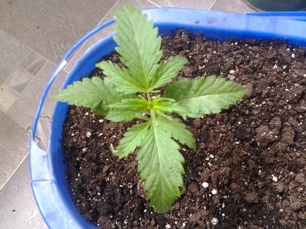 20171013_125044.jpg