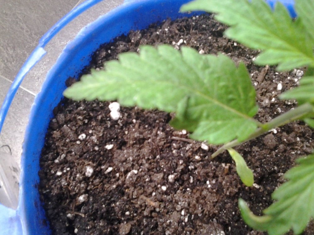 20171013_125050.jpg