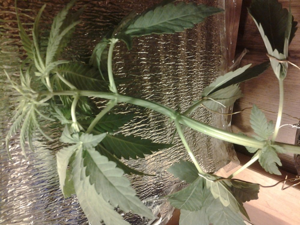20171021_172057.jpg