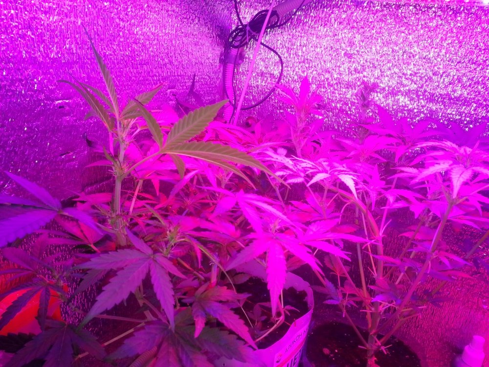20171028_133932.jpg