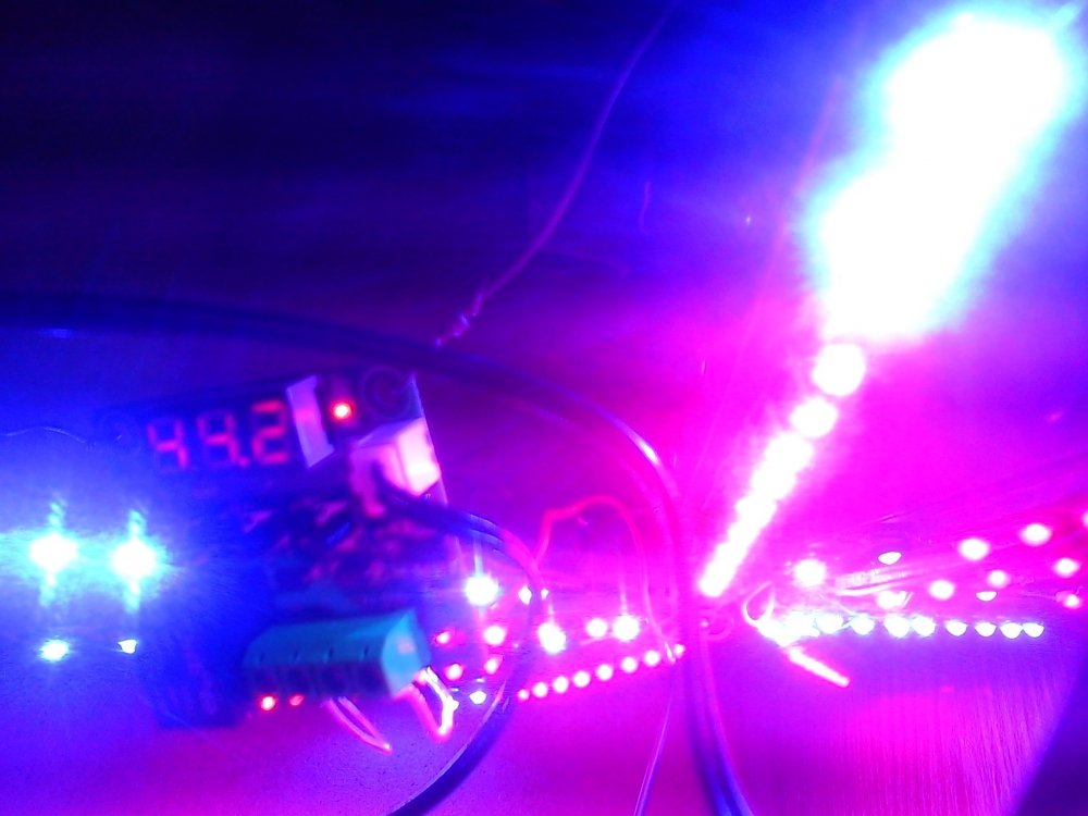 22.thumb.jpg.53b0256c06f8936bc5702ece2582e781.jpg
