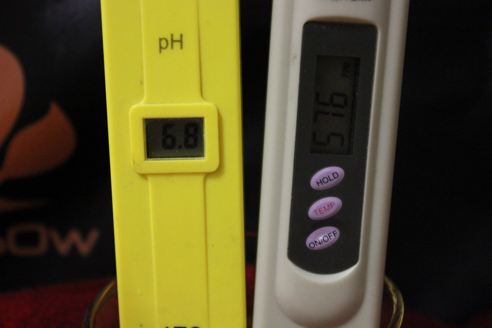 59ea40cced3d4_2010(2).thumb.JPG.5696242dd8f429d4ca911caa4d849f5c.JPG