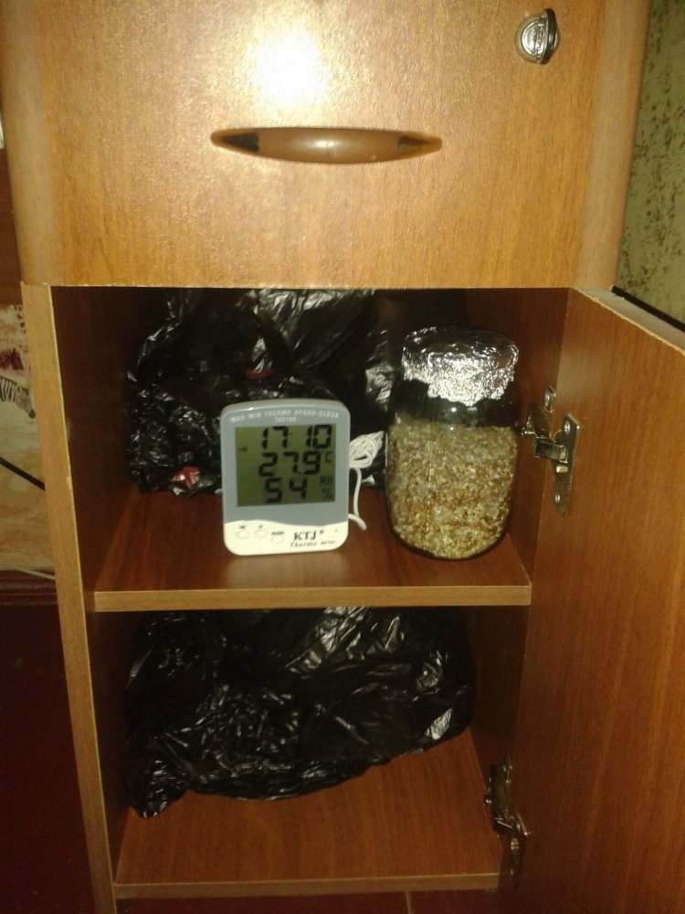 5AHz7_0DM20.jpg
