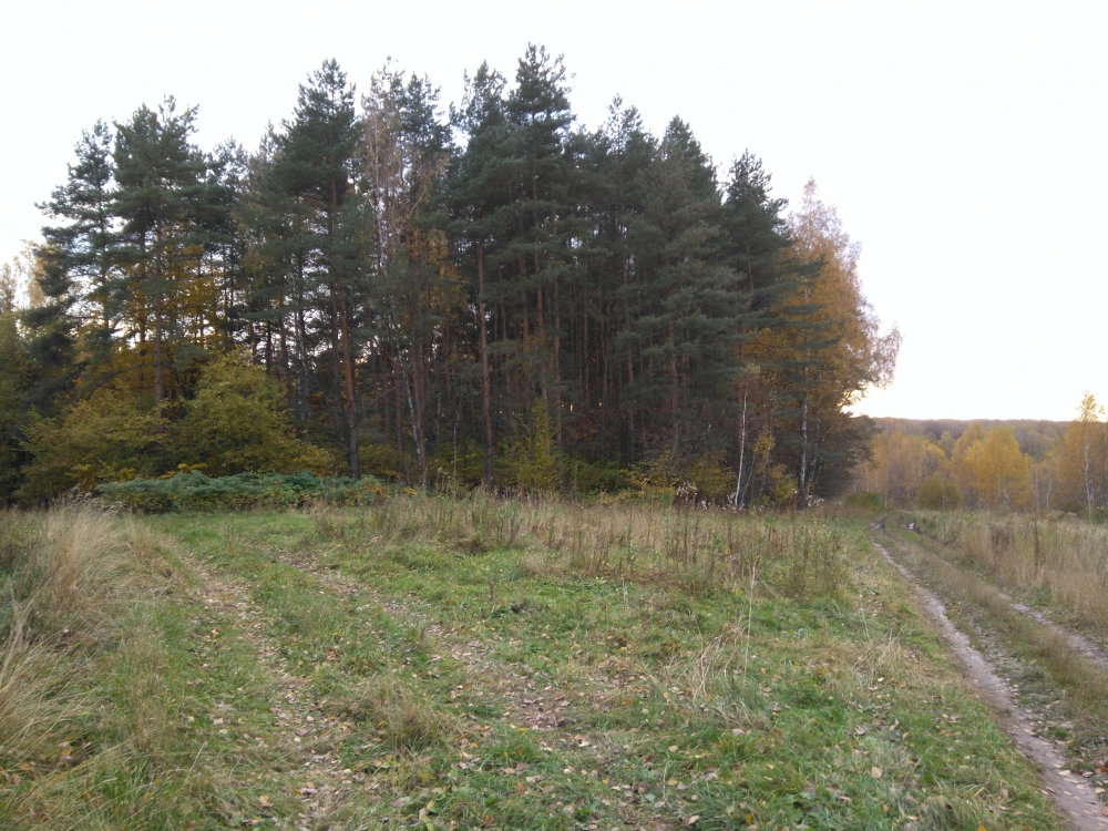 DSC_0430.JPG