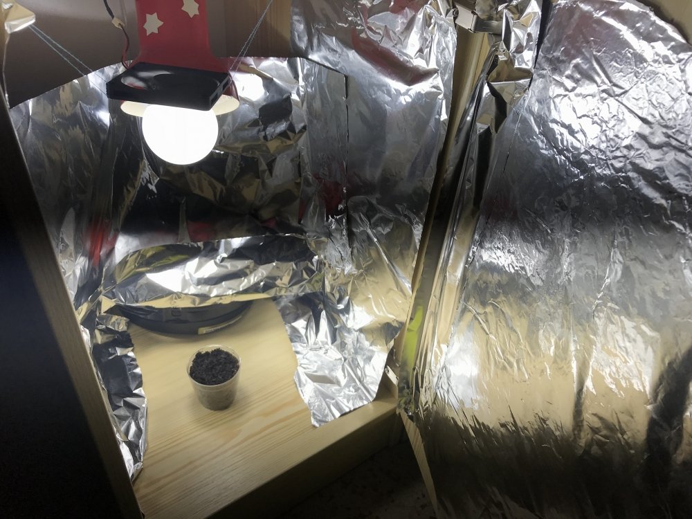 F2DE0535-CFBC-4ED8-8F5A-01428D5D77D2.jpeg