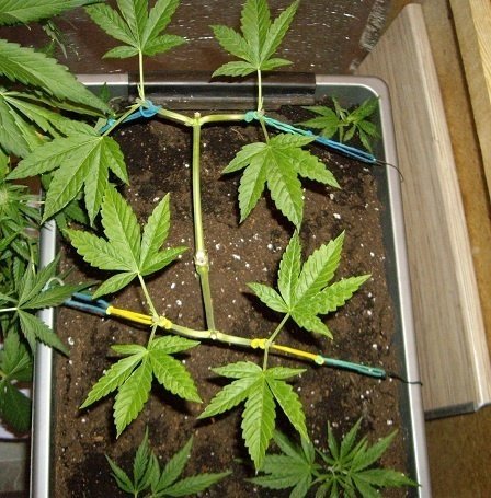 IMGP4190.thumb.jpg.ec16d9566d80b93959ad8c6a40d3a1b8.jpg