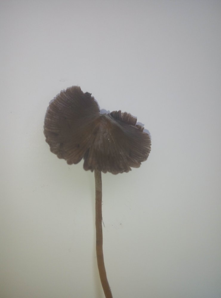 P71016-125908.jpg
