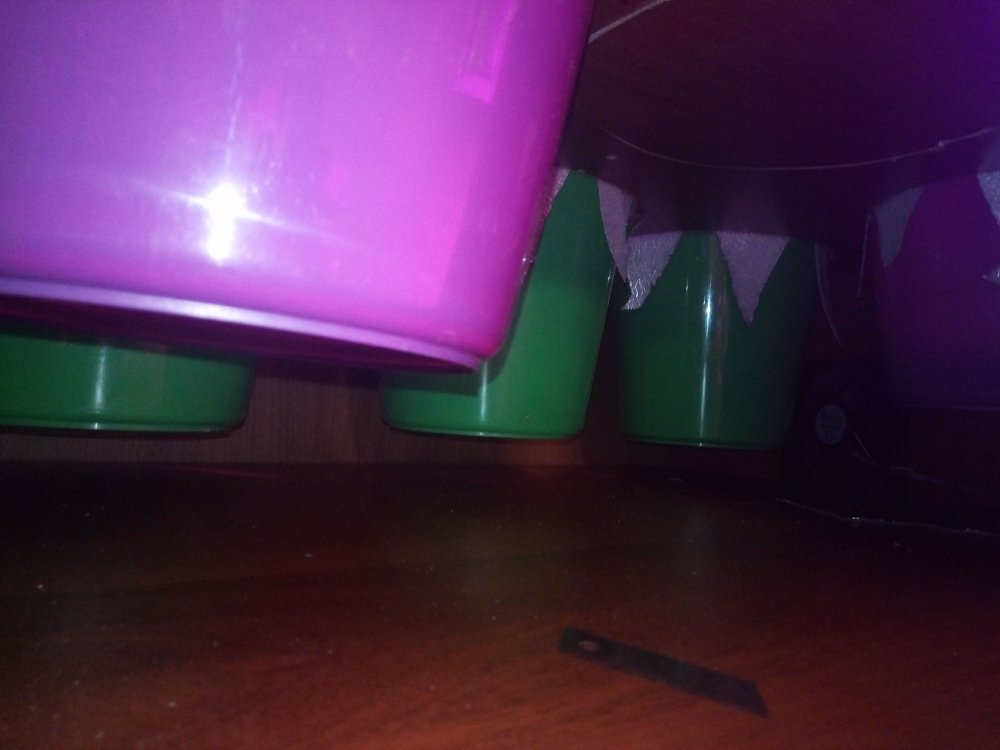 P_20171019_201359.jpg