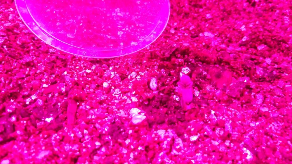 P_20171024_201017.jpg