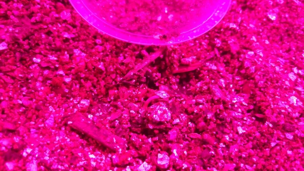 P_20171024_201036.jpg
