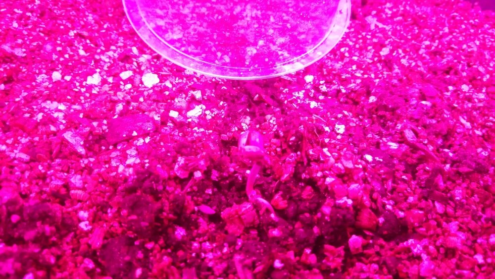 P_20171024_201050.jpg