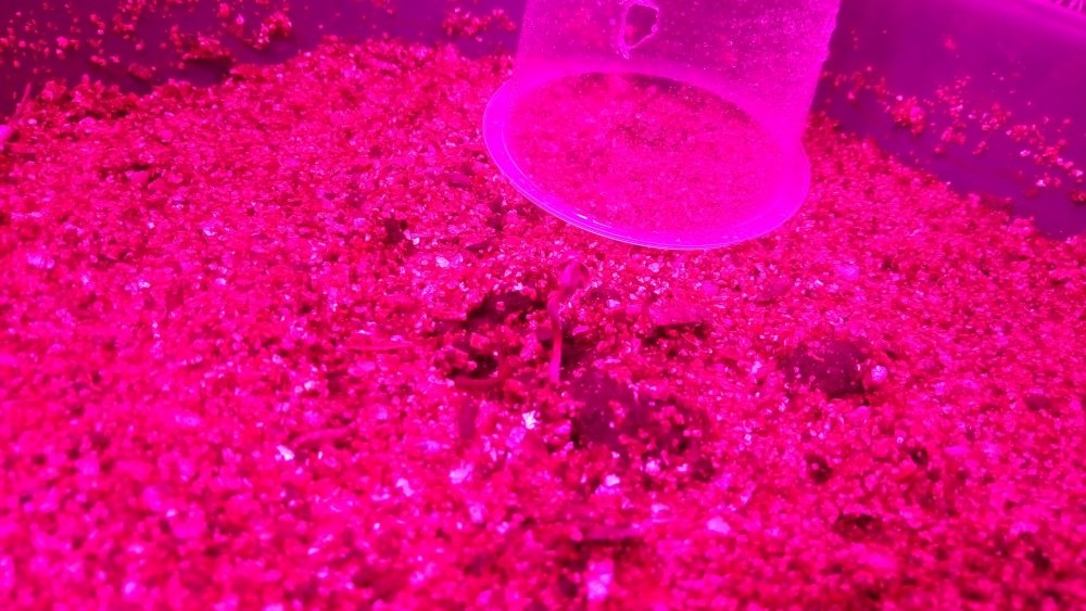 P_20171024_201132.jpg