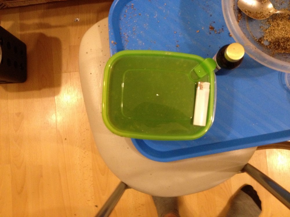 image.jpeg