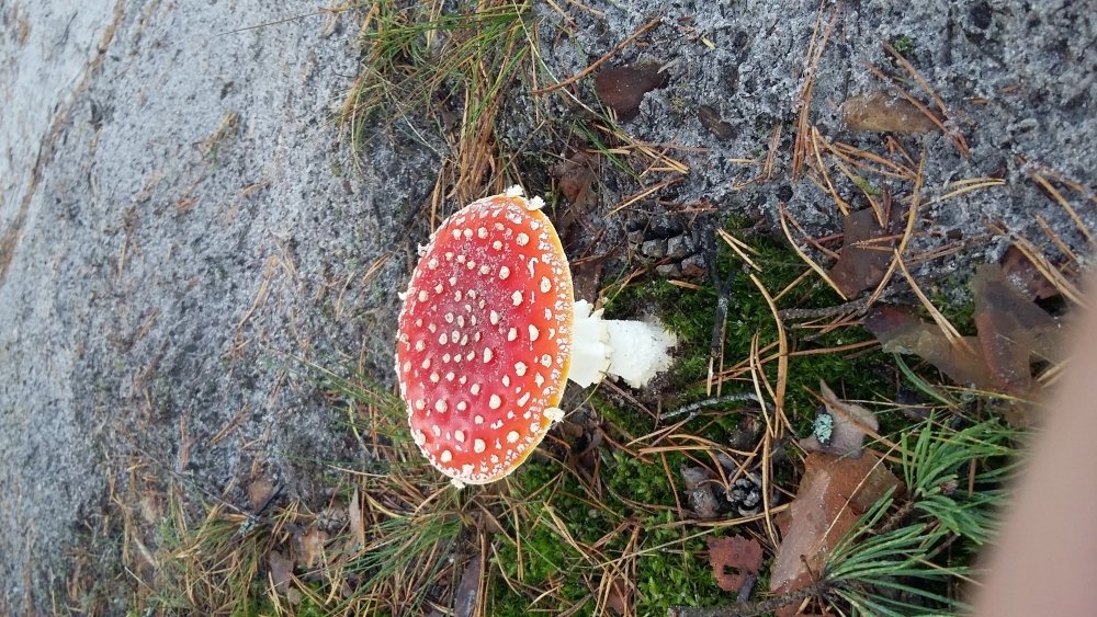 20170926_083259.jpg