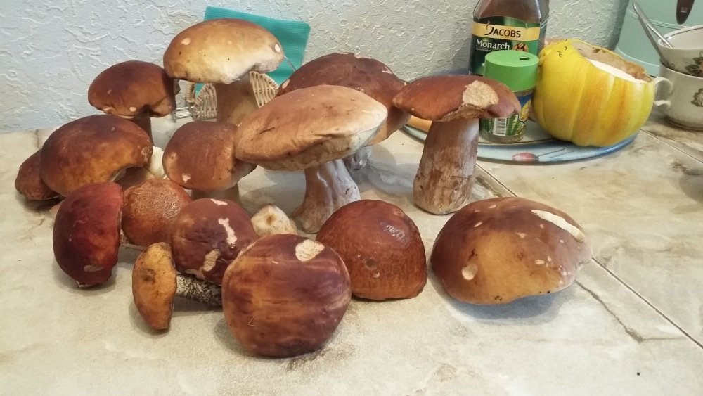20171006_153854.jpg