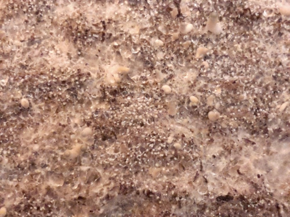 20171101_094506.jpg