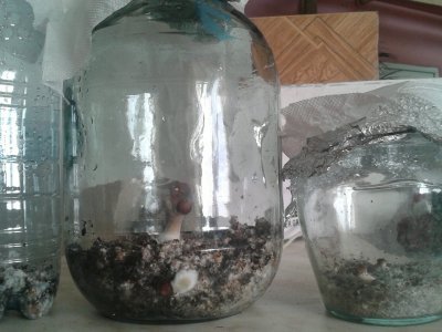 20171126_130026.thumb.jpg.ad534fe8e95c0009c80615b196e2ea1c.jpg