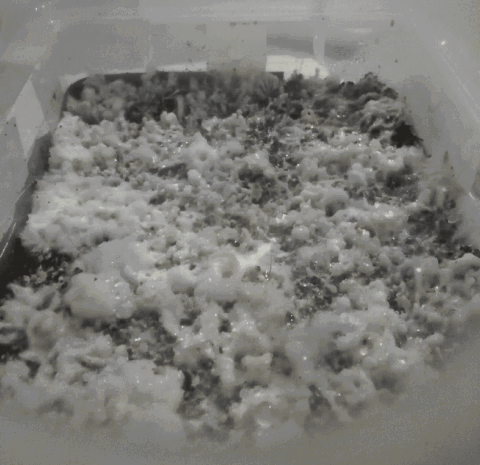 2017_11_27_16_43_52.thumb.gif.434ca6b7160eb1fc9621731cedd59979.gif