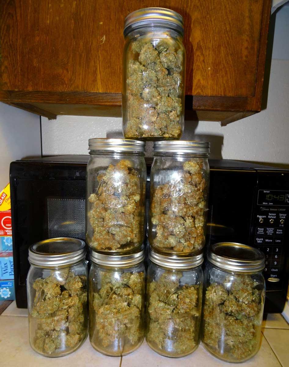 коробка для выращивания марихуаны