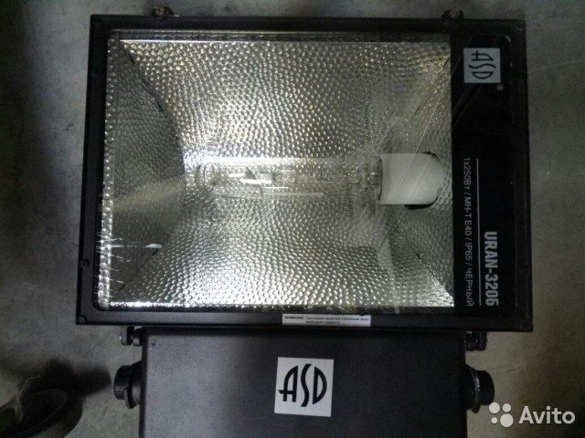 3887908462.jpg