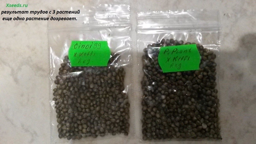 4.thumb.jpg.6ba0425f4e66919b57643d113184cc41.jpg