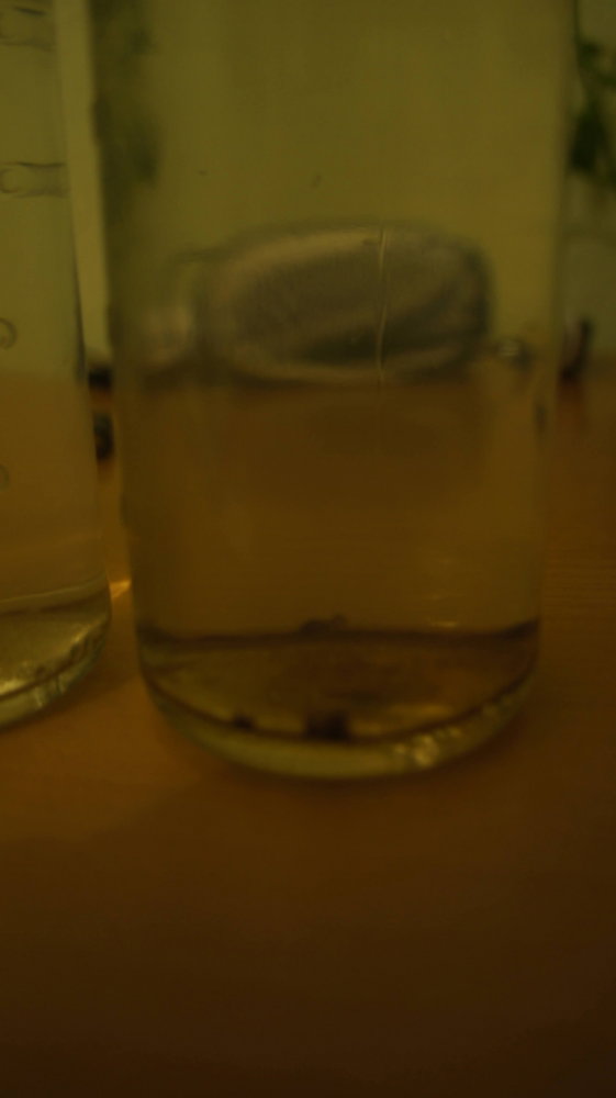 DSC00734.thumb.JPG.d216c8ada7dedb3a33bac9cdc73c2f2a.JPG