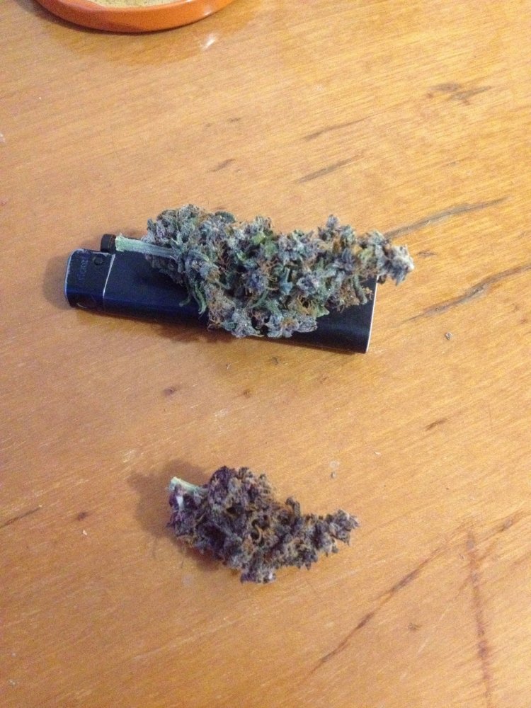 image.jpeg